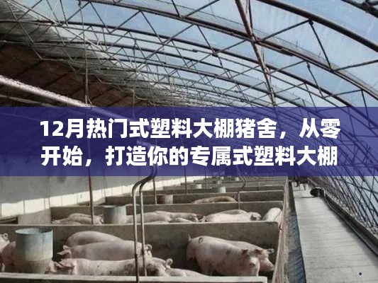 从零开始打造专属式塑料大棚猪舍,详细指南(适合初学者与进阶用户参考)