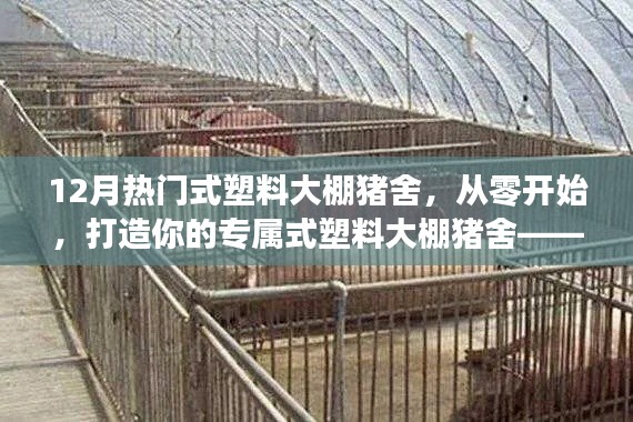 从零开始打造专属式塑料大棚猪舍,详细指南(适合初学者与进阶用户参考)
