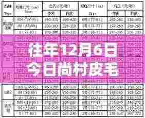今日尚村皮毛最新价格查询指南,往年与当前价格对比,适合初学者与进阶用户参考