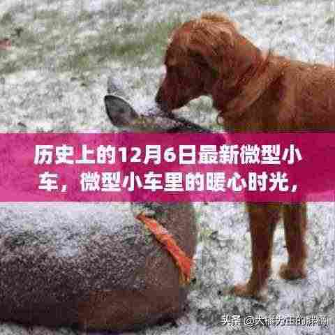 暖心微型小车,友谊与陪伴的温馨故事(历史上的12月6日最新微型小车)