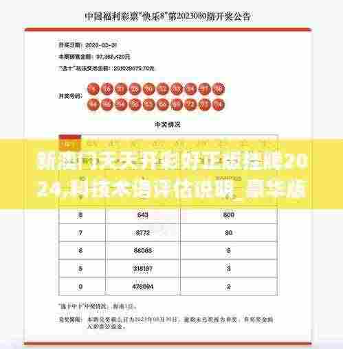 新澳门天天开彩好正版挂牌2024,科技术语评估说明_豪华版9.555