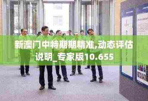 新澳门中特期期精准,动态评估说明_专家版10.655