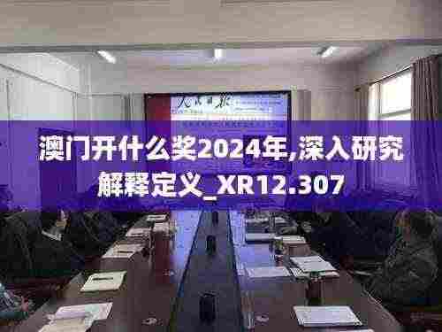 澳门开什么奖2024年,深入研究解释定义_XR12.307