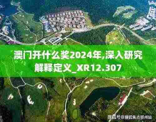 澳门开什么奖2024年,深入研究解释定义_XR12.307