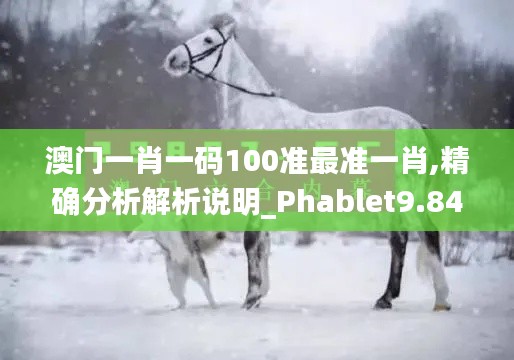 澳门一肖一码100准最准一肖,精确分析解析说明_Phablet9.847