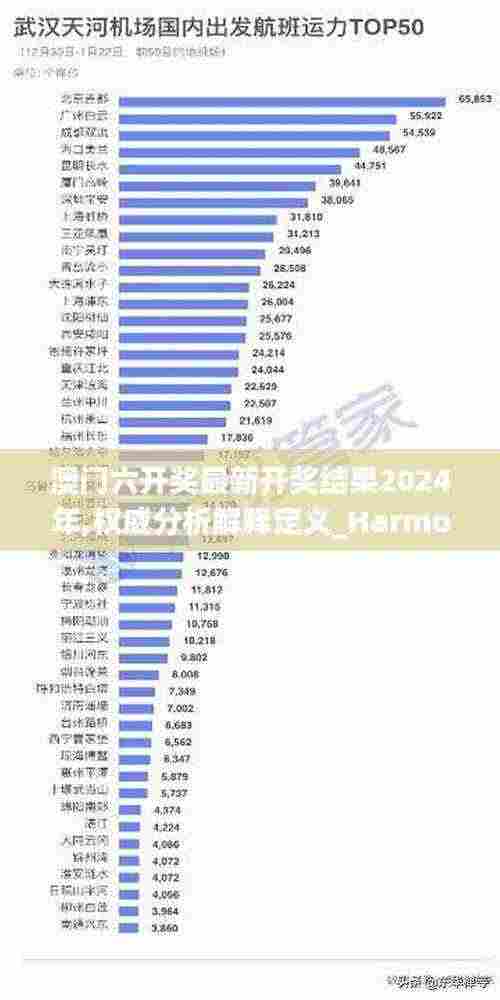 澳门六开奖最新开奖结果2024年,权威分析解释定义_Harmony款10.959