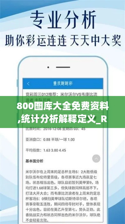 800图库大全免费资料,统计分析解释定义_R版4.869