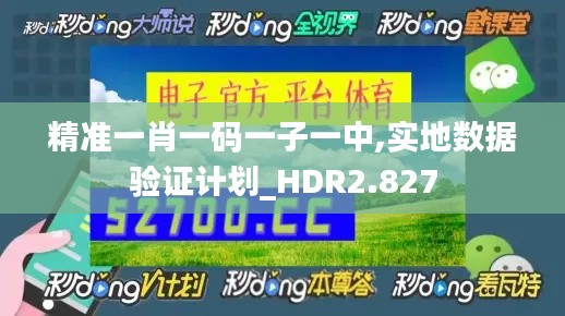 精准一肖一码一子一中,实地数据验证计划_HDR2.827
