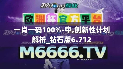 一肖一码100%-中,创新性计划解析_钻石版6.712