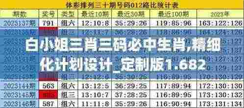 白小姐三肖三码必中生肖,精细化计划设计_定制版1.682