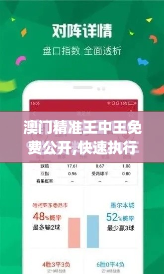 澳门精准王中王免费公开,快速执行方案解答_创意版1.705