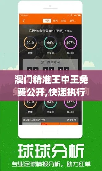 澳门精准王中王免费公开,快速执行方案解答_创意版1.705