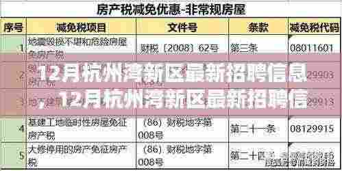 12月杭州湾新区最新招聘信息汇总，一站式获取所有最新职位