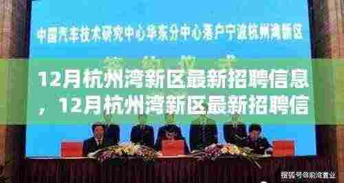 12月杭州湾新区最新招聘信息汇总,一站式获取所有最新职位