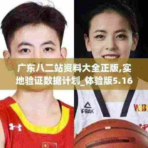 广东八二站资料大全正版,实地验证数据计划_体验版5.160