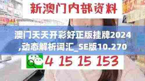 澳门天天开彩好正版挂牌2024,动态解析词汇_SE版10.270