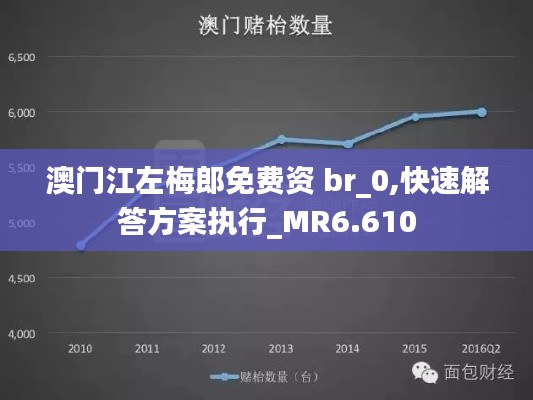 澳门江左梅郎免费资 br_0,快速解答方案执行_MR6.610