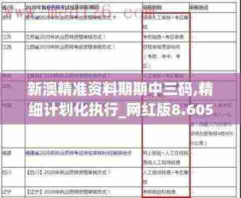 新澳精准资料期期中三码,精细计划化执行_网红版8.605