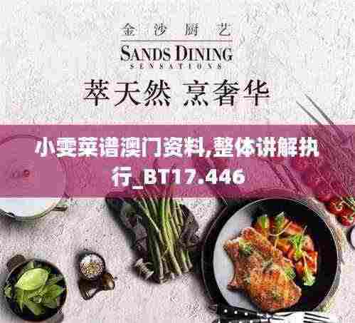 小雯菜谱澳门资料,整体讲解执行_BT17.446