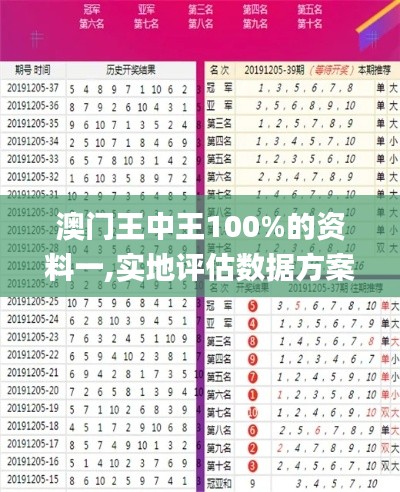澳门王中王100%的资料一,实地评估数据方案_旗舰版3.674