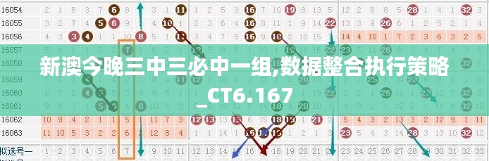 新澳今晚三中三必中一组,数据整合执行策略_CT6.167