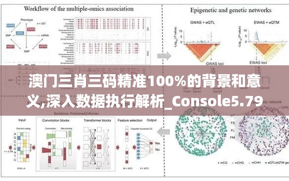 澳门三肖三码精准100%的背景和意义,深入数据执行解析_Console5.791