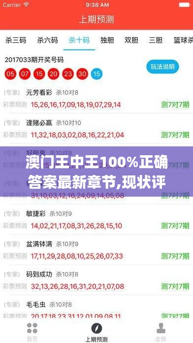 澳门王中王100%正确答案最新章节,现状评估解析说明_苹果版3.528