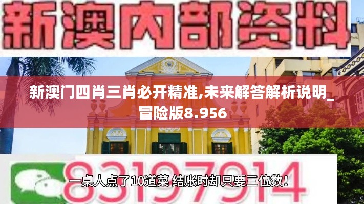 新澳门四肖三肖必开精准,未来解答解析说明_冒险版8.956