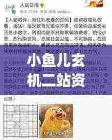 小鱼儿玄机二站资料提供资料,可靠执行策略_5DM8.415