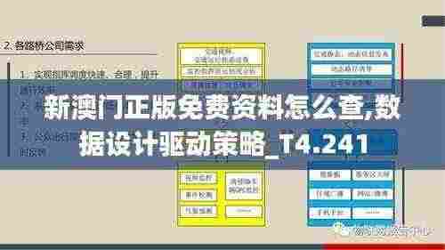 新澳门正版免费资料怎么查,数据设计驱动策略_T4.241