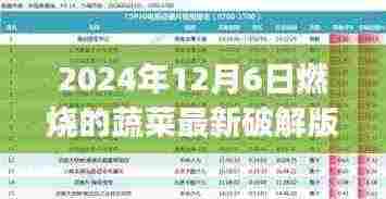 燃烧的蔬菜最新破解版使用指南,初学者与进阶用户必读(违法犯罪警示)