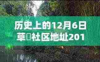 草橊社区回望,历史上的十二月六日与时代印记揭秘