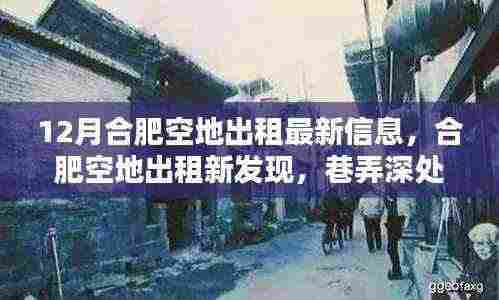 合肥空地出租最新信息及巷弄深处的独特小店探秘指南