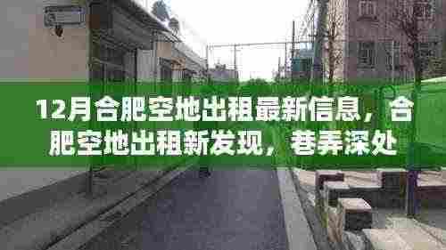 合肥空地出租最新信息及巷弄深处的独特小店探秘指南