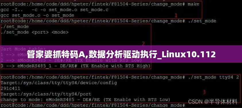 管家婆抓特码A,数据分析驱动执行_Linux10.112