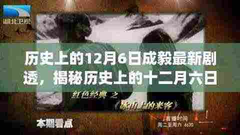 揭秘历史上的十二月六日,成毅新剧透背后的故事与深远影响