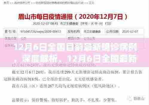 深度解析,全国最新确诊病例报告特性、用户体验及用户群体分析(截至12月6日)