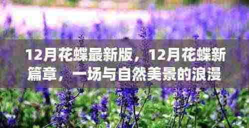 12月花蝶新篇章,与自然美景的浪漫遨游,探寻内心的平和与喜悦