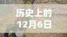 揭秘未知历史时刻,历史上的12月6日最新野战视频偷录揭秘