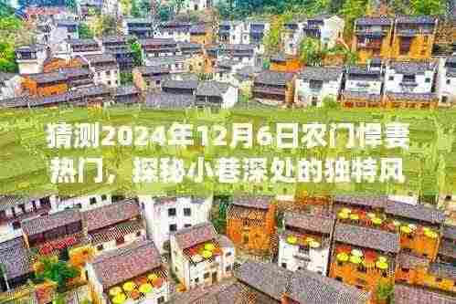 农门悍妻的秘密小店,探秘小巷深处的独特风味与热门之谜(预测2024年12月6日热门话题)