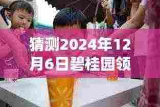探秘碧桂园领誉新动态,揭秘小巷特色小店与未知魅力,预测碧桂园最新动态(2024年12月6日)
