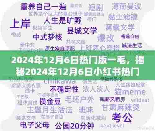 揭秘,小红书热门版块一毛背后的秘密(日期,2024年12月6日)