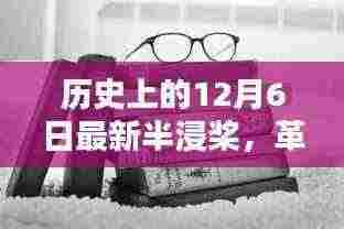 革命性半浸桨技术亮相,最新高科技产品引领未来风潮,历史性的12月6日半浸桨更新