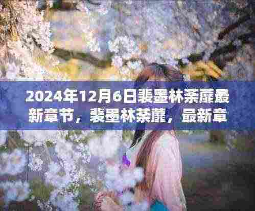 裴墨林荼蘼最新章节深度解析与回顾,影响与启示(2024年12月6日)