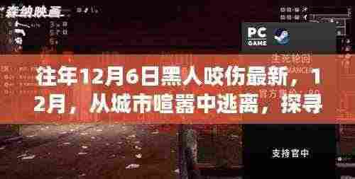 探寻被咬伤的黑人与自然美景的奇妙之旅，逃离城市喧嚣的12月新发现