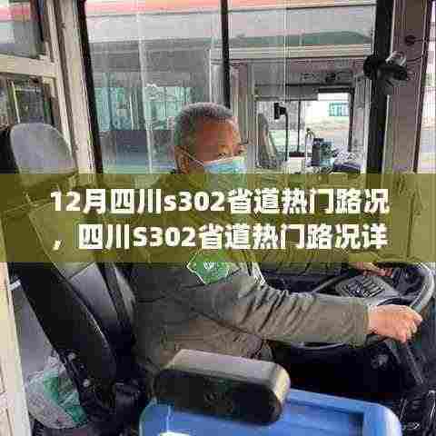四川S302省道12月热门路况详解与旅行指南