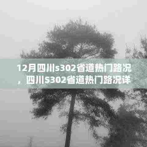 四川S302省道12月热门路况详解与旅行指南