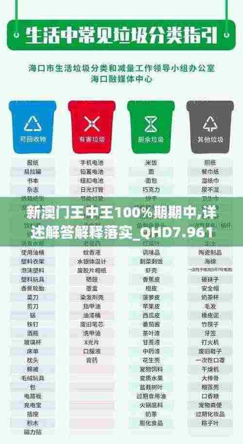 新澳门王中王100%期期中,详述解答解释落实_QHD7.961