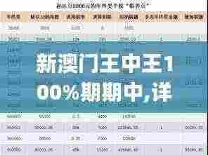 新澳门王中王100%期期中,详述解答解释落实_QHD7.961