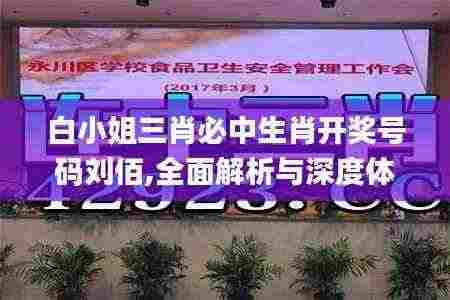 白小姐三肖必中生肖开奖号码刘佰,全面解析与深度体验_VR版2.712